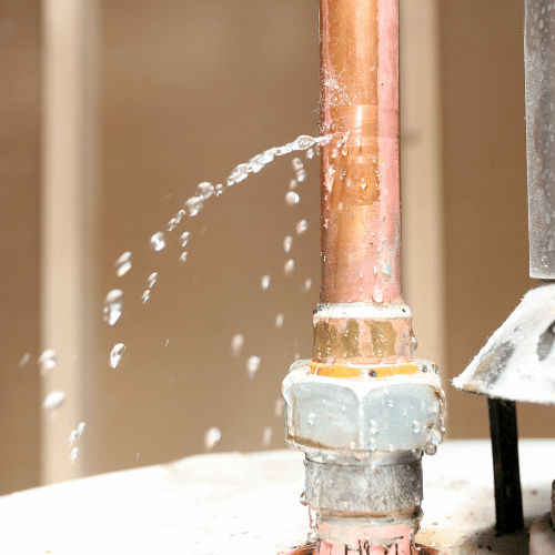 Stop Leaks Prevent Pest Problems