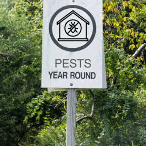 Year-Round Pest Protection