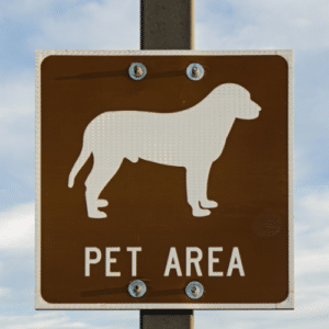 Pests Around Pet Spaces