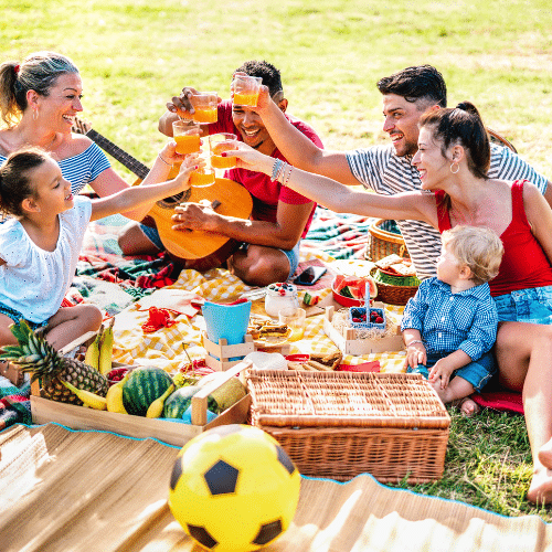 Picnic Perfect Without the Pests