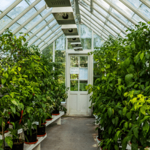 Plant Space Protection Made Easy