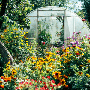 Protect Your Greenhouse Ecosystem