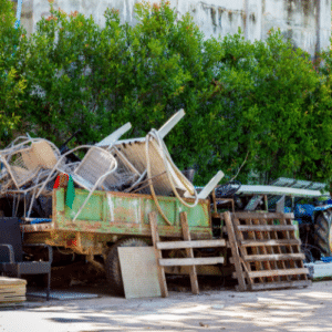 Reduce Clutter Keep Pests Out