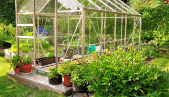 Safe Greenhouses Healthy Plants