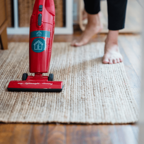 Stop Pests with a Cleaner Space