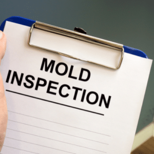 Prevent Pests Stop Mold