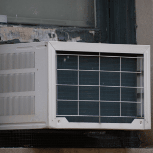 Common Pests in AC Units