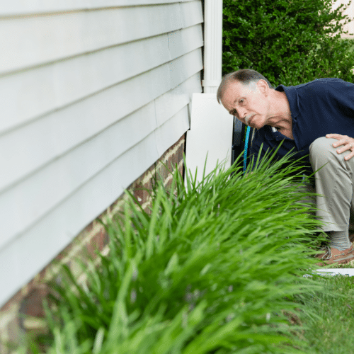 Seal Foundations Save Homes