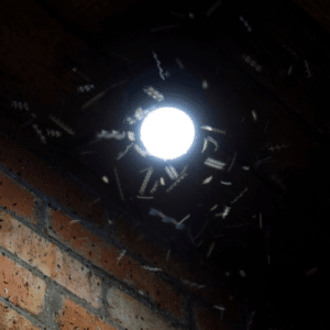 Smarter Lighting Fewer Pests