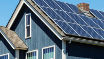 Solar Panels Without Pest Problems