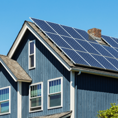 Solar Panels Without Pest Problems