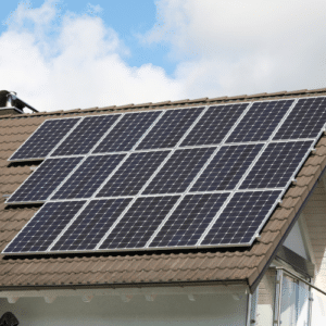 Stop Pests Save Solar Panels