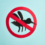 Enjoy Summer Mosquito Control