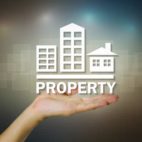 Pest Control Keeps Properties Strong