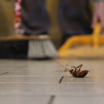 Teams That Triumph Over Pests