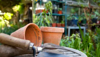 Quiet Evenings Throughout Gardens