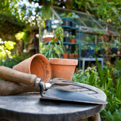 Quiet Evenings Throughout Gardens