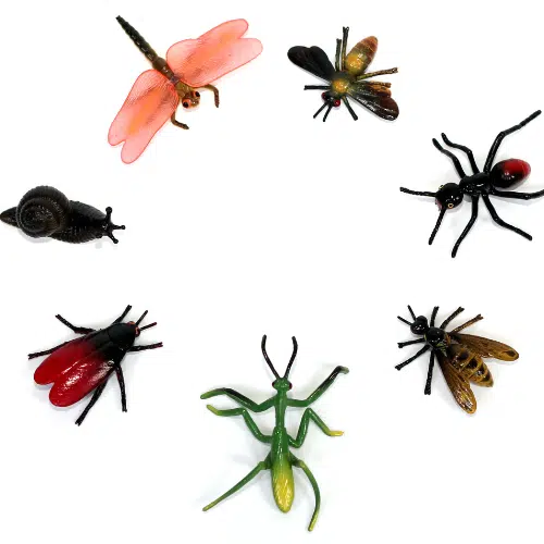 Homes Win When Bugs Lose