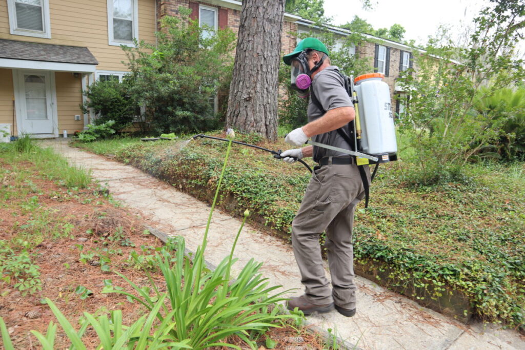 Mosquito Pest Control Tips for Florida Summers: How to Keep Your Yard Bite-Free